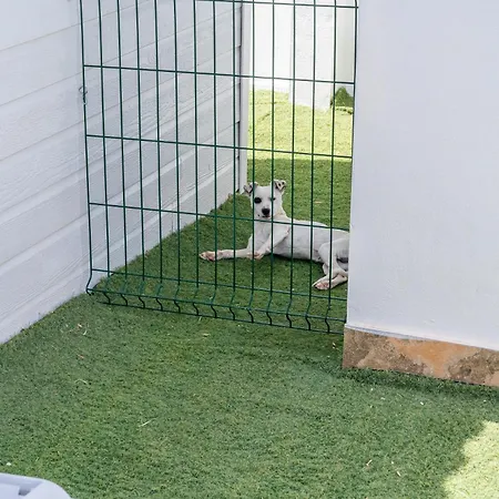 El Paraíso Perdido Apartamento Conil De La Frontera