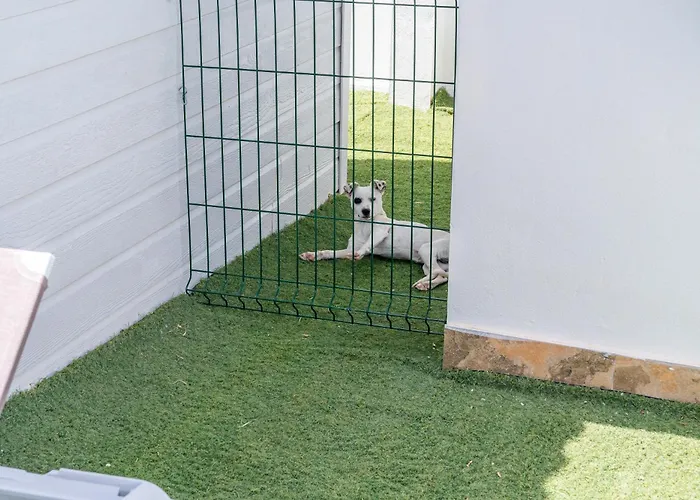 El Paraiso Perdido Appartement Conil De La Frontera